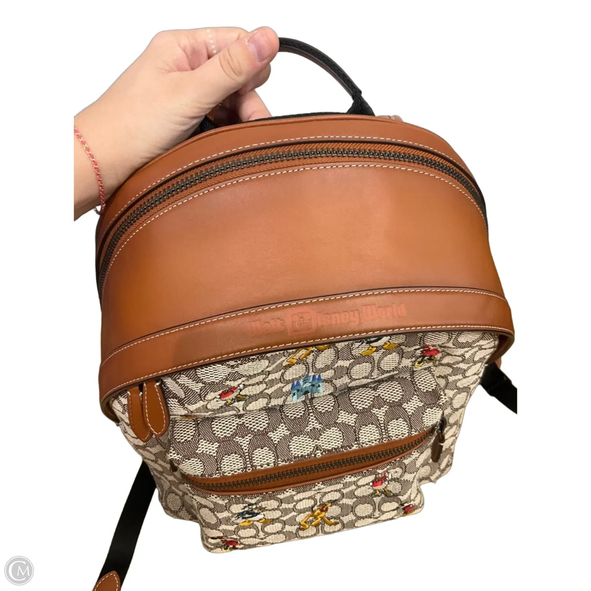 Backpack Designer By Coach, Size: Large