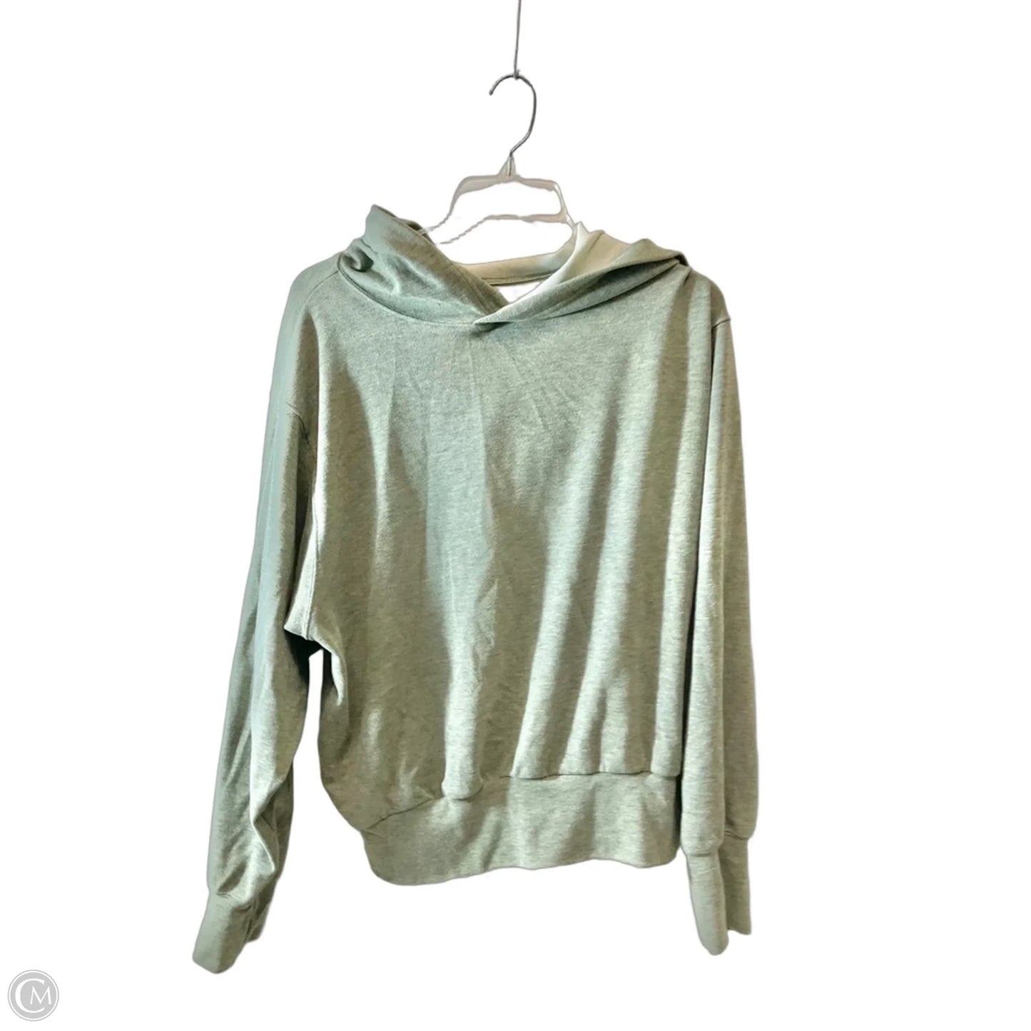 Sweatshirt Hoodie By Evereve In Grey, Size: M
