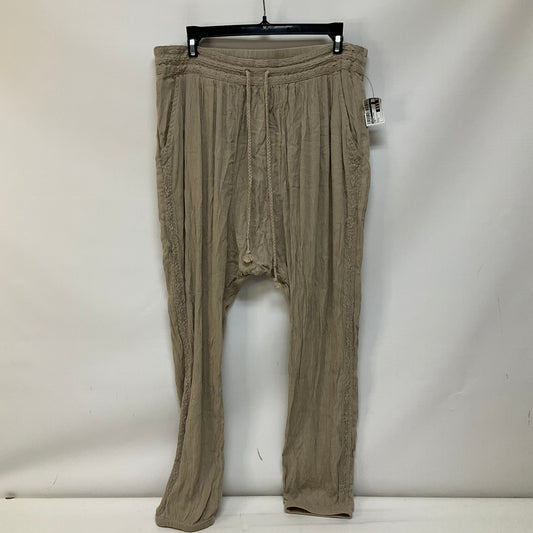 Tan Pants Linen Aerie, Size L