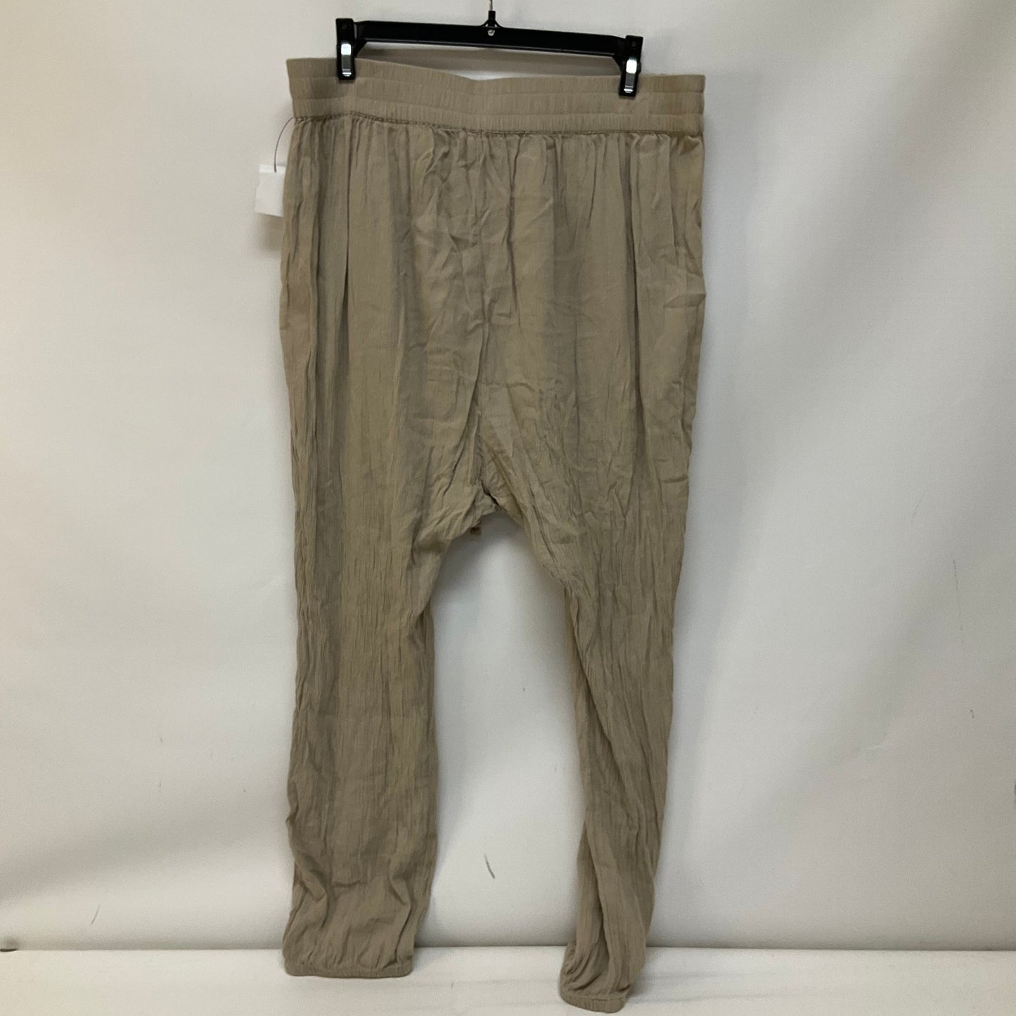 Tan Pants Linen Aerie, Size L