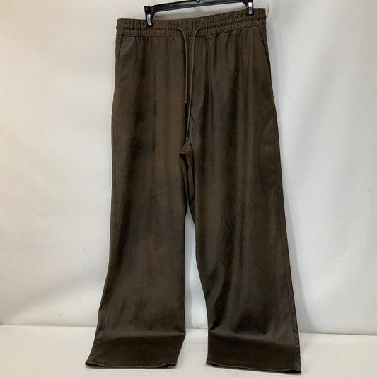 Pants Other By Zara Basic  Size: M