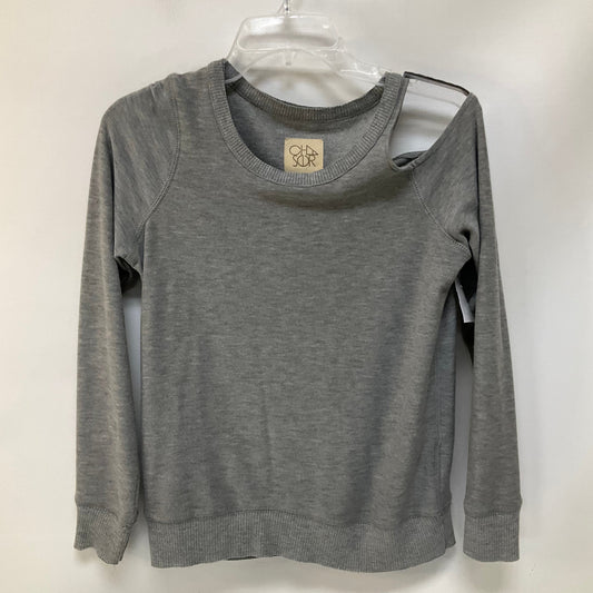 Top Long Sleeve Basic By Chaser In Grey, Size: Xs