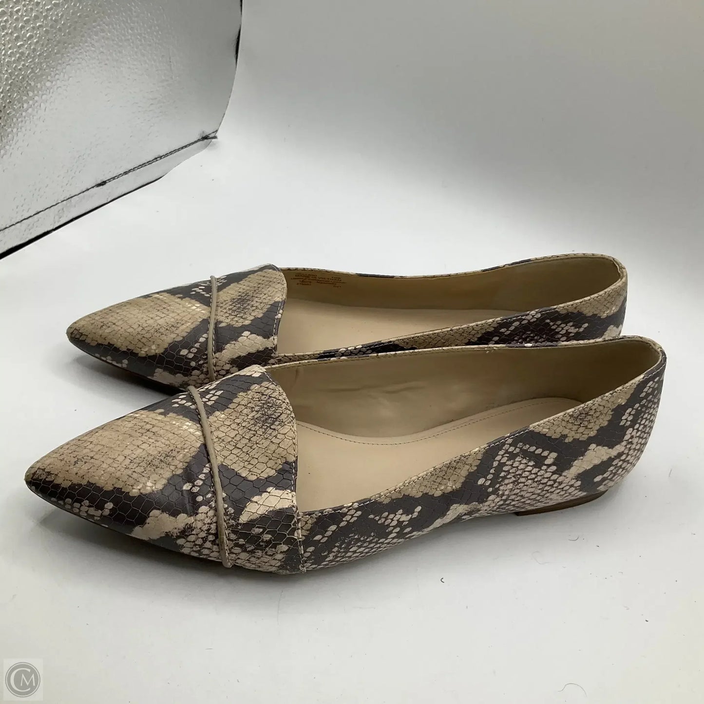 Shoes Flats By Cole-haan In Snakeskin Print, Size: 10