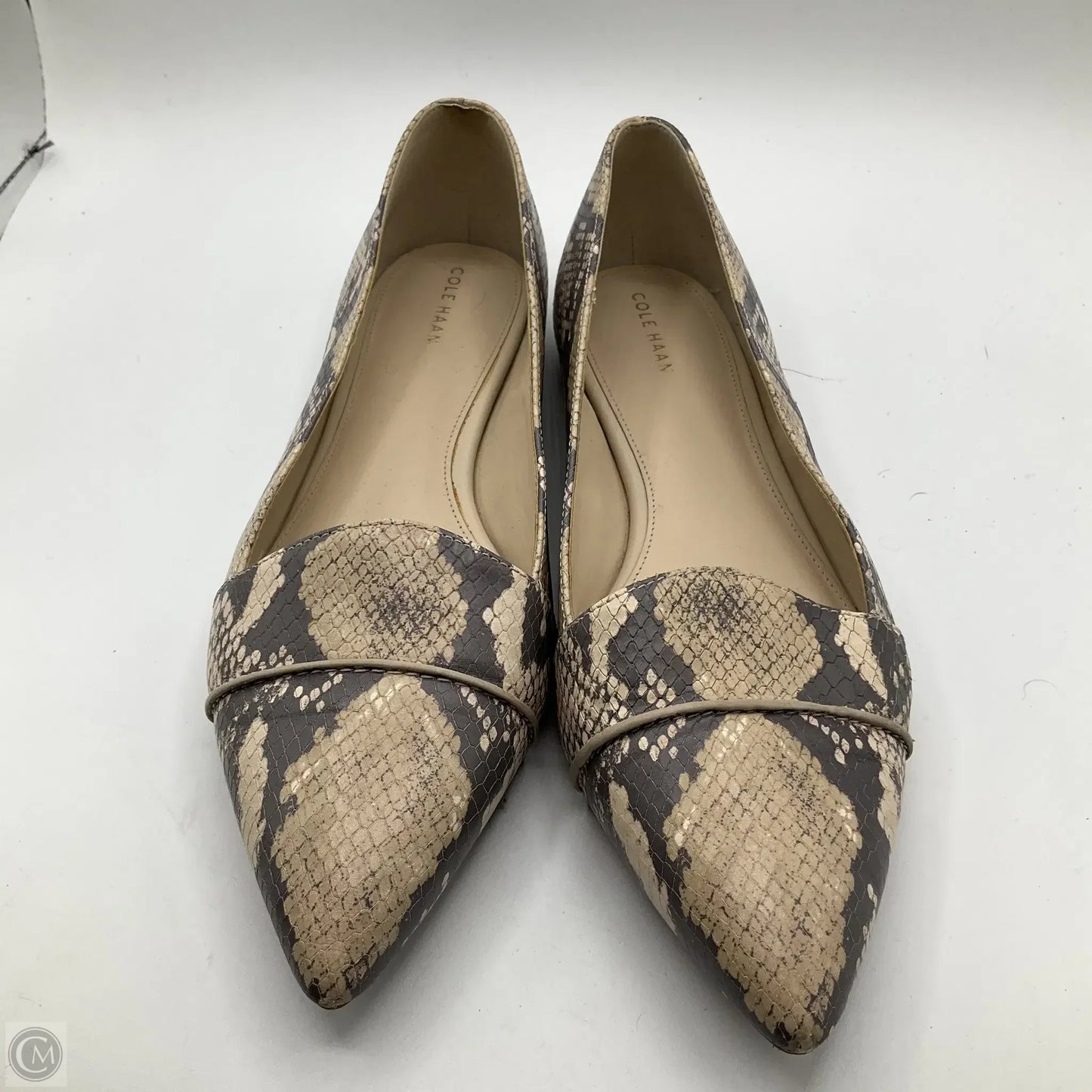 Shoes Flats By Cole-haan In Snakeskin Print, Size: 10