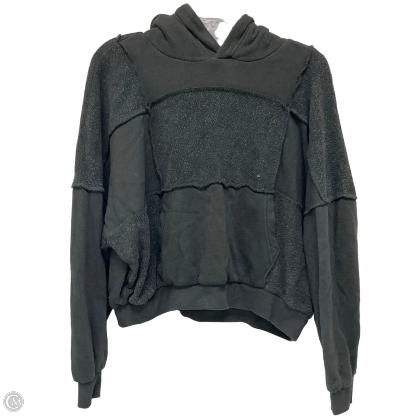 Sweatshirt Hoodie By Aerie In Grey, Size: Xs