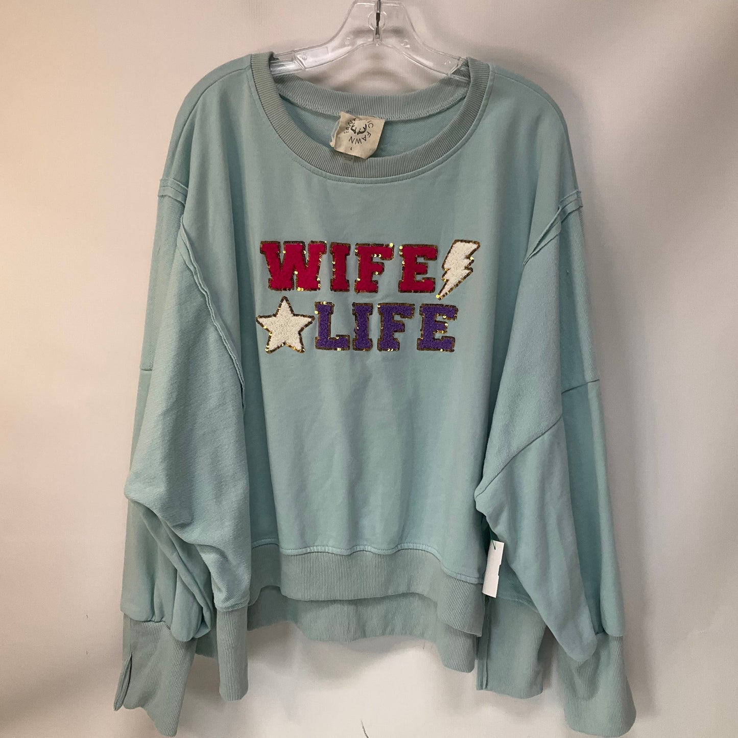 Top Long Sleeve By Fantastic Fawn In Blue, Size: L