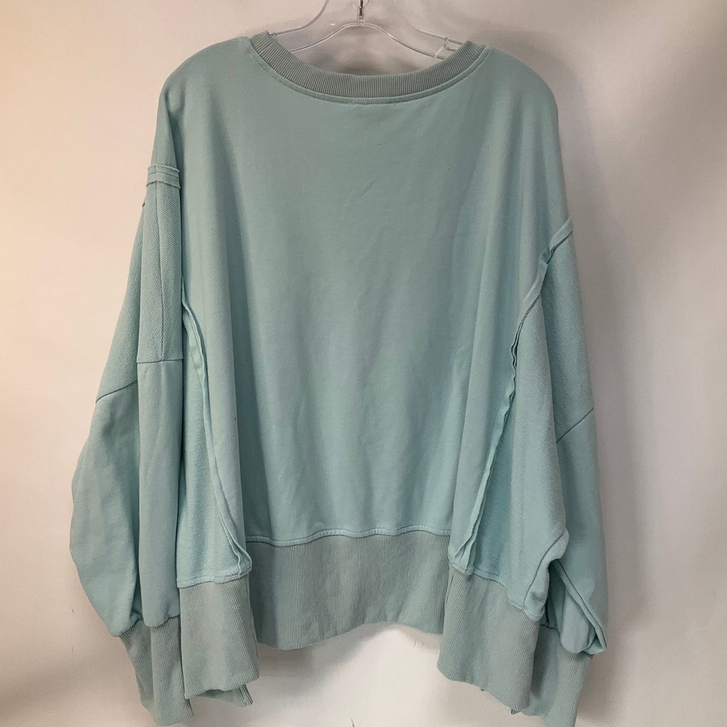 Top Long Sleeve By Fantastic Fawn In Blue, Size: L