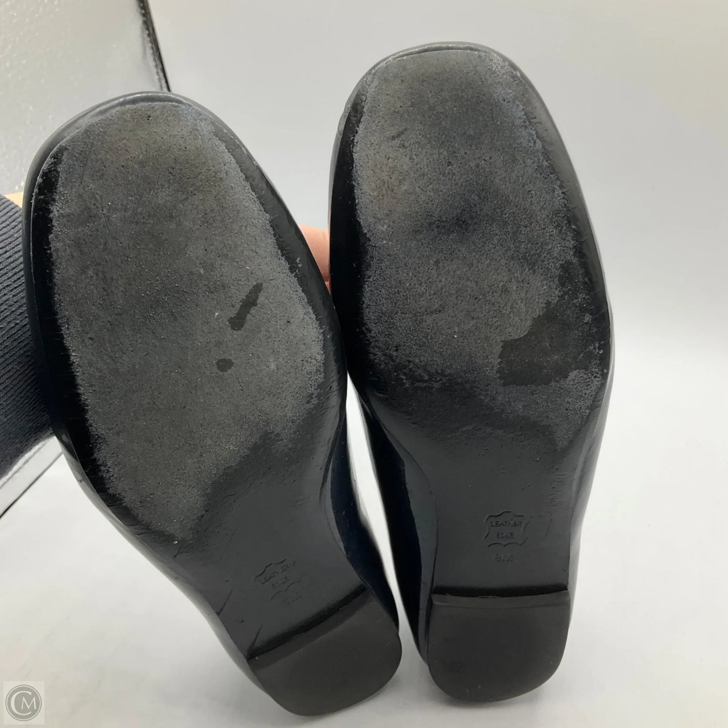 Shoes Designer By Tory Burch In Blue, Size: 8