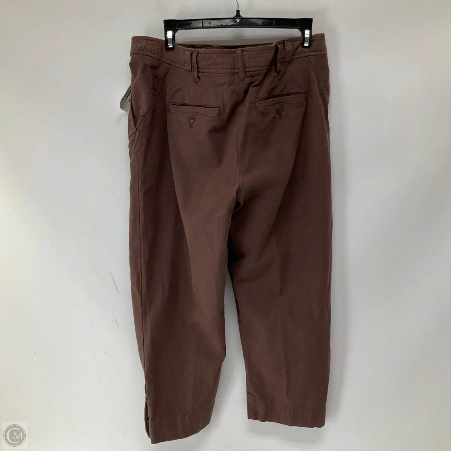 Pants Cargo & Utility By Anthropologie In Brown, Size: M
