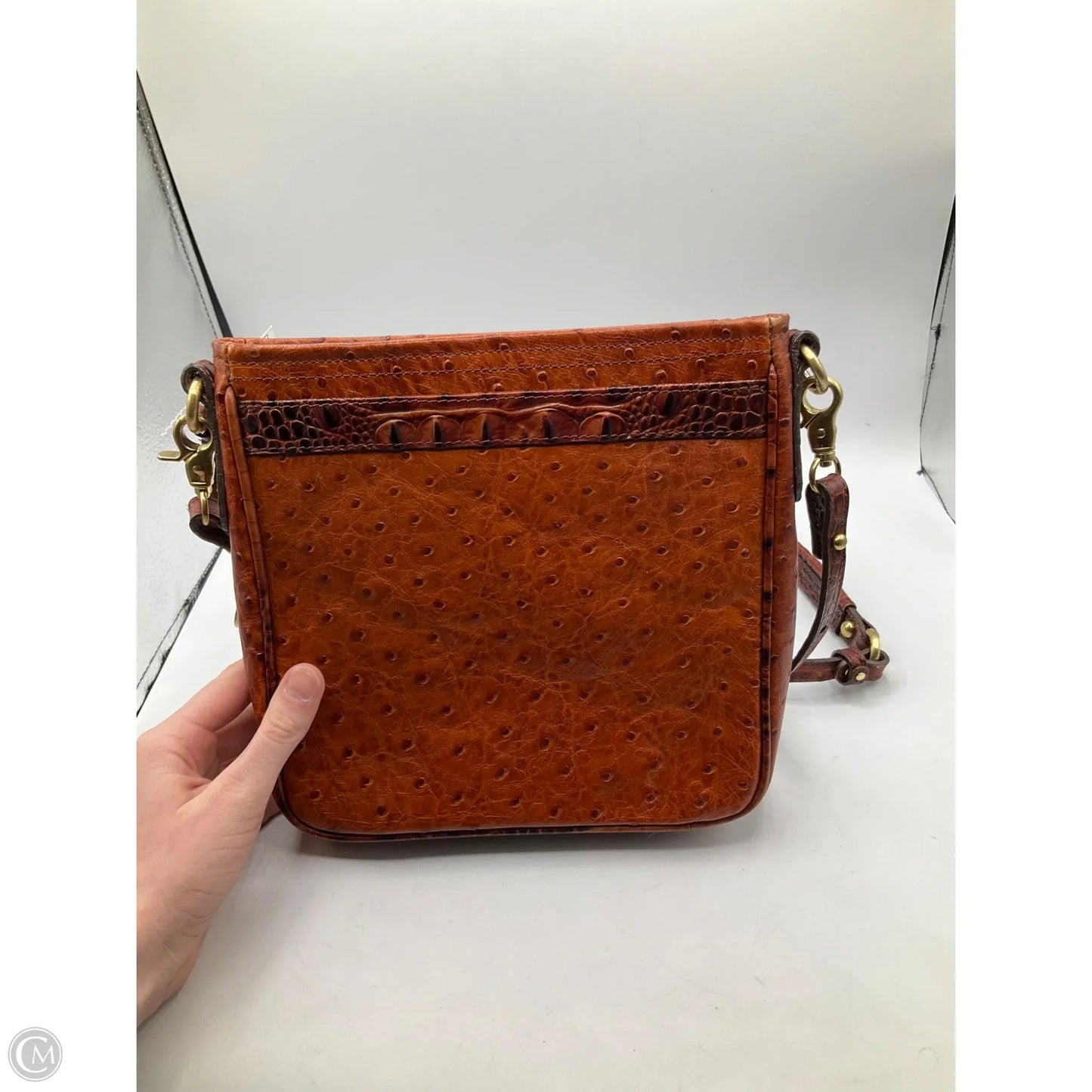Crossbody Designer By Brahmin, Size: Medium