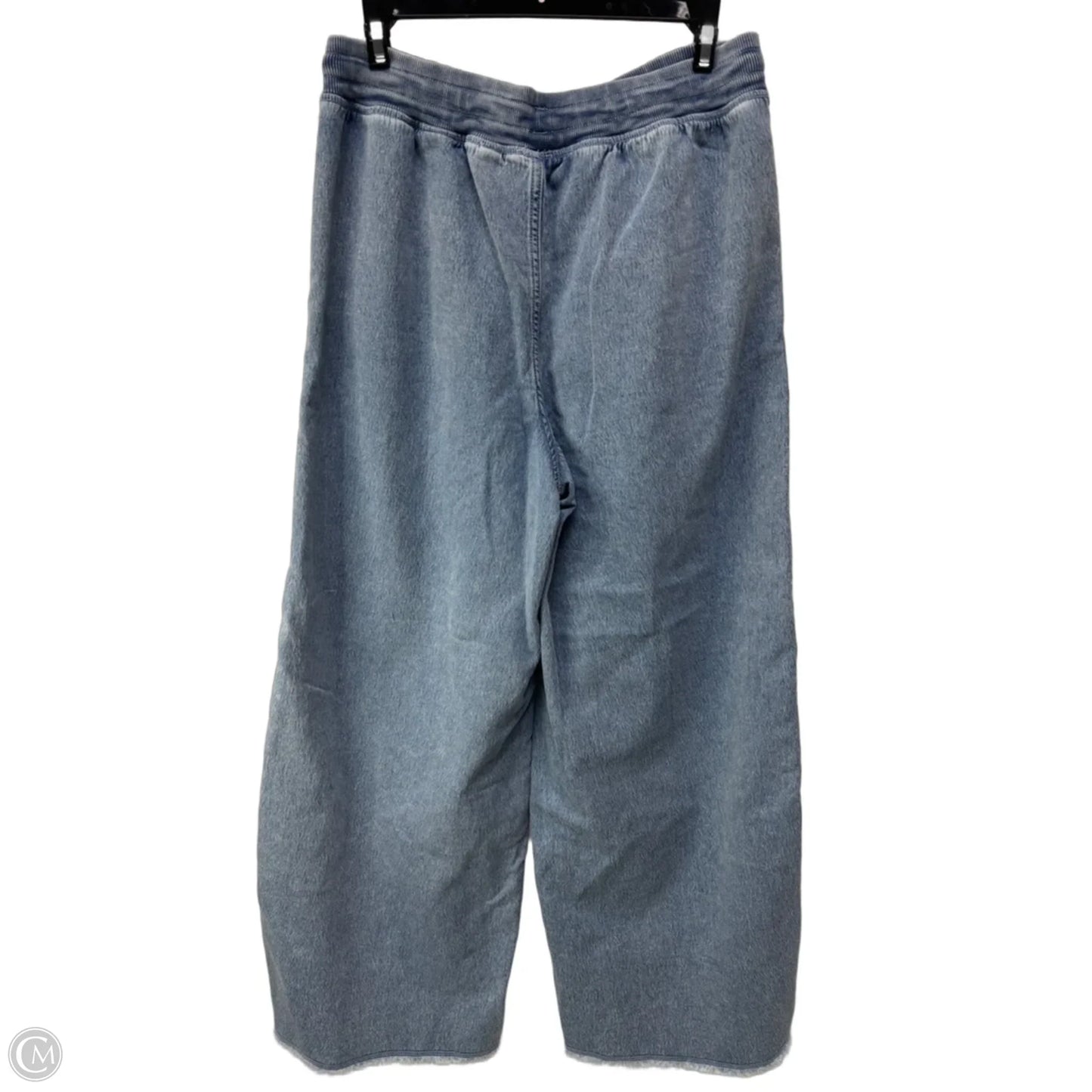 Pants Other By Aerie In Blue, Size: M