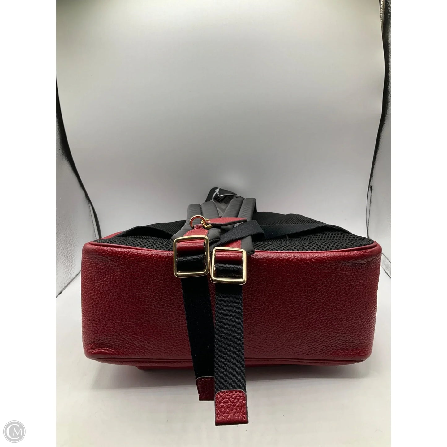 Backpack Designer By Coach, Size: Medium