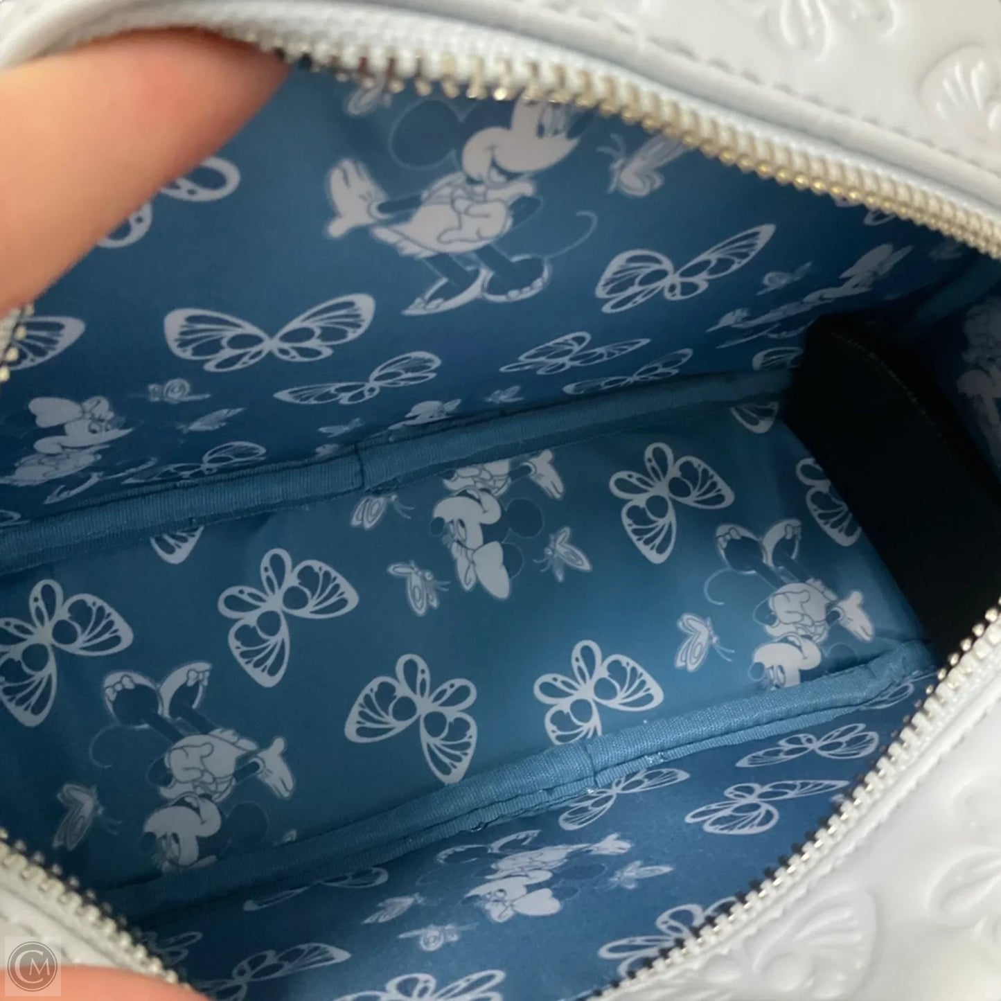 Crossbody By Loungefly, Size: Medium