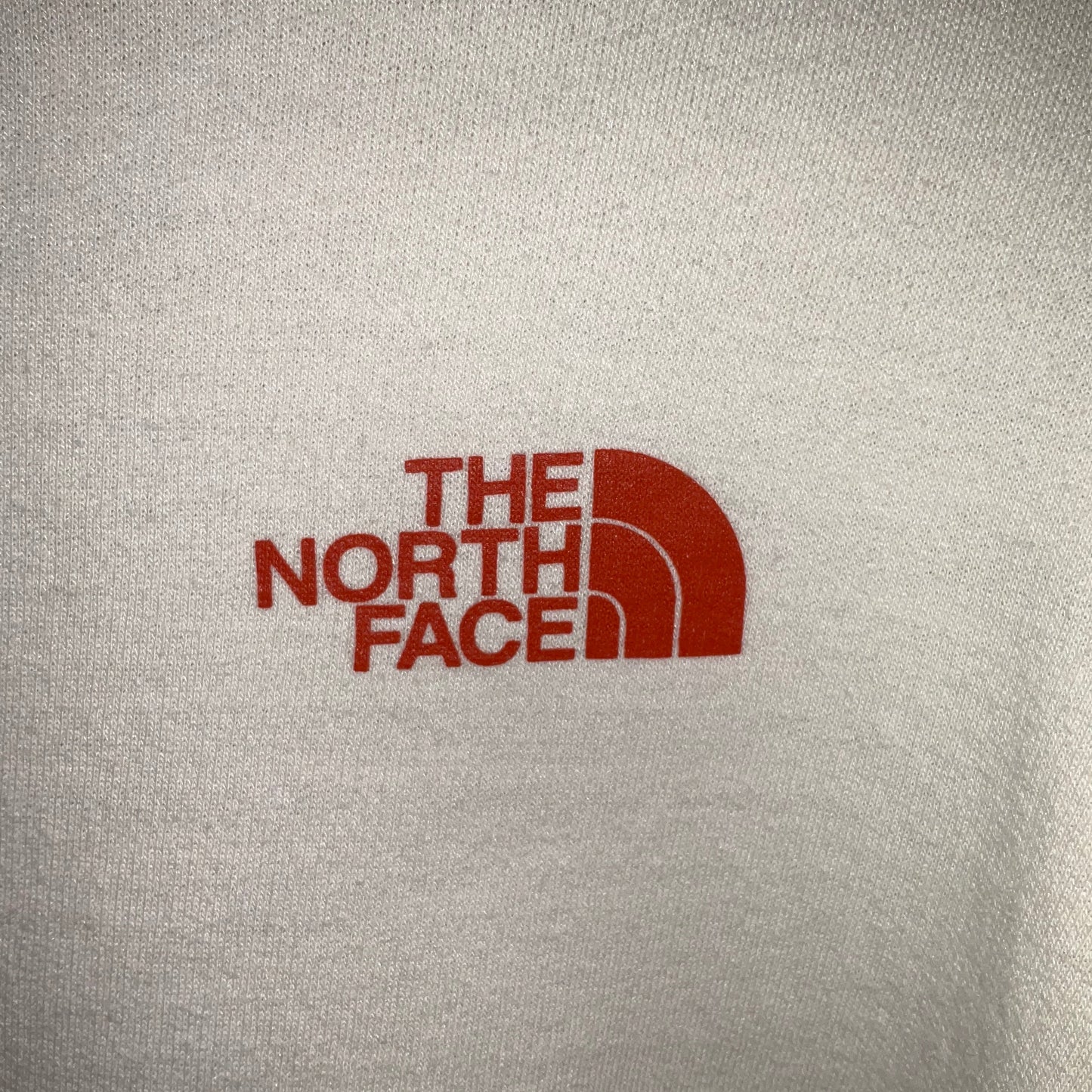 Sweatshirt Hoodie By The North Face In Cream, Size: Xl