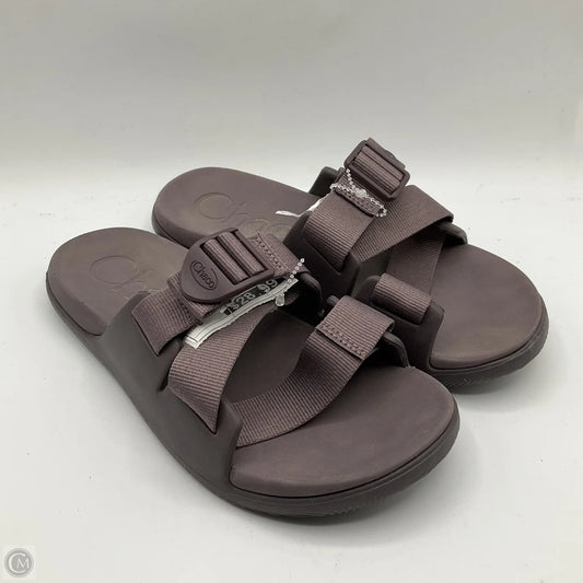 Sandals Flats By Chacos In Purple, Size: 6