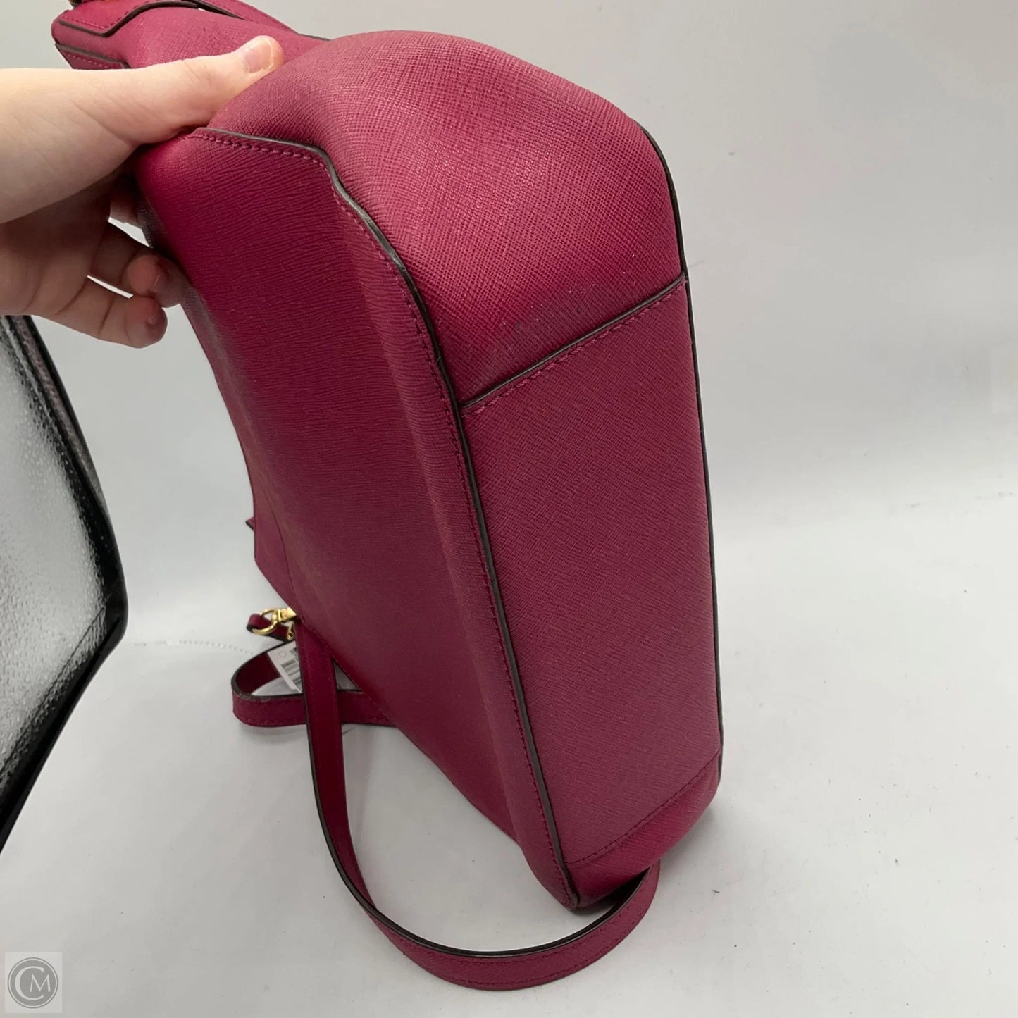 Crossbody Designer By Michael Kors, Size: Medium