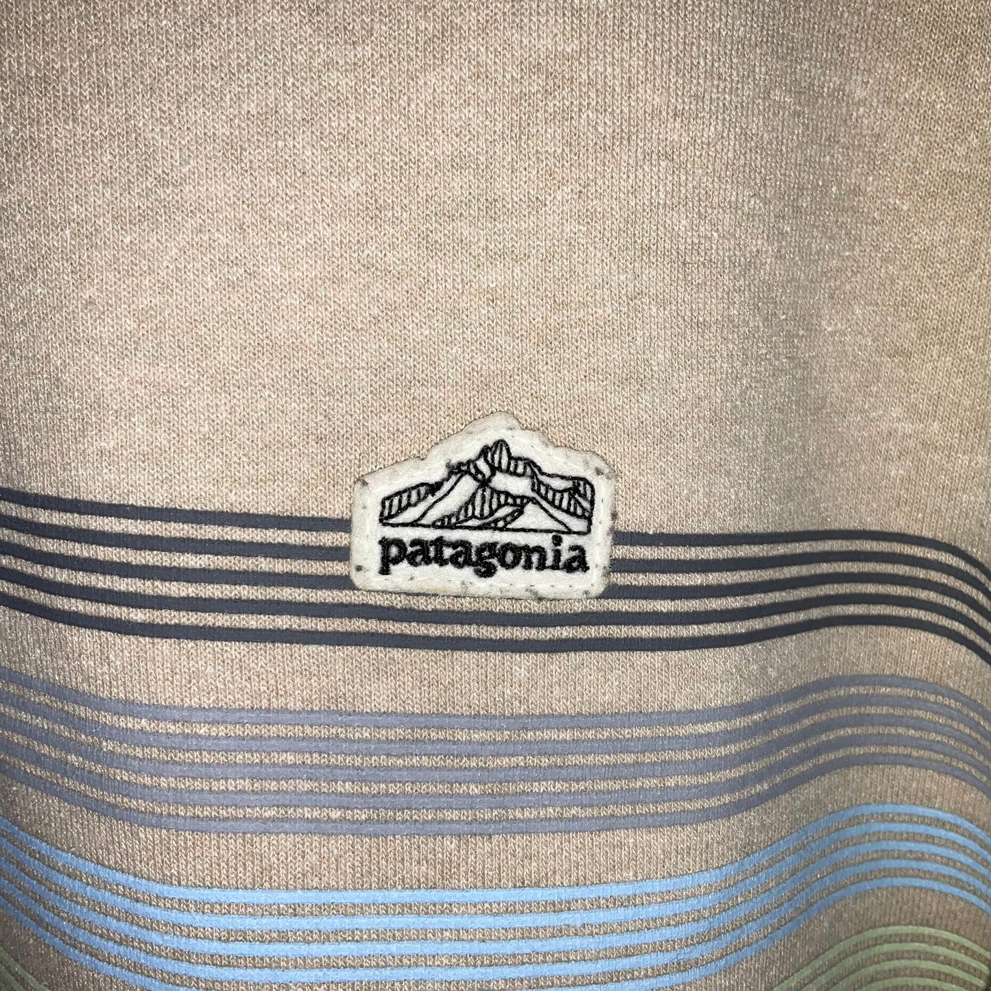 Sweatshirt Hoodie By Patagonia In Beige, Size: L