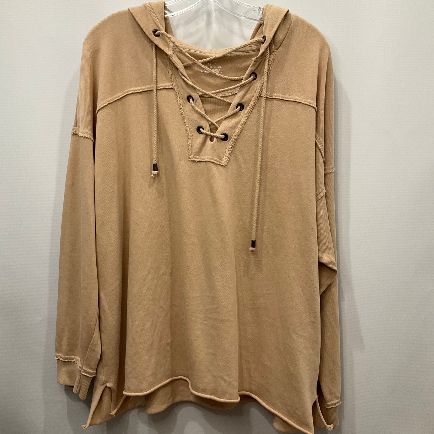 Tan Sweatshirt Hoodie Crewneck Crewneck Aerie, Size Xs