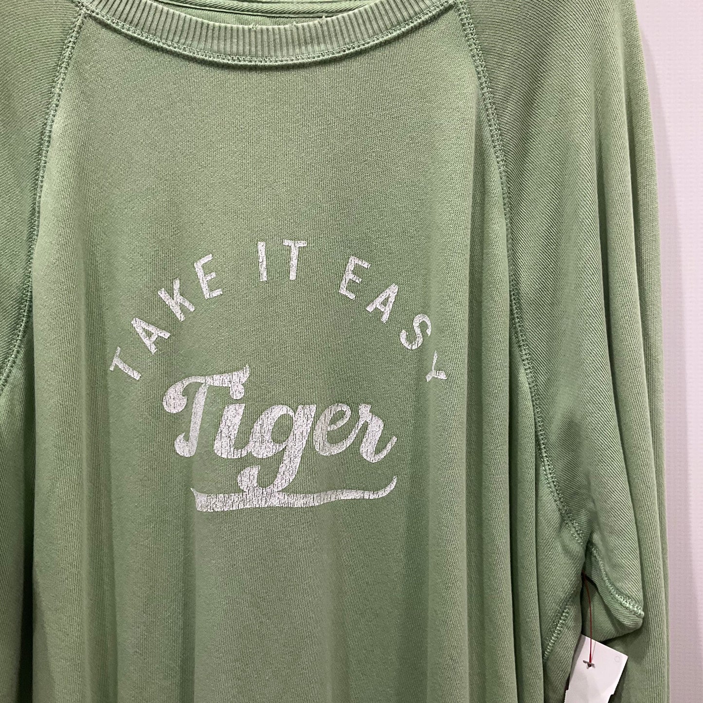 Green Sweatshirt Crewneck Aerie, Size M