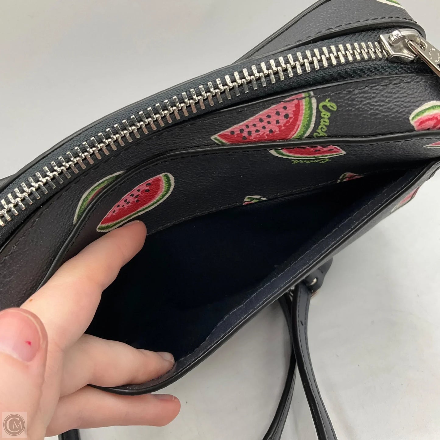 Crossbody Designer By Coach, Size: Small