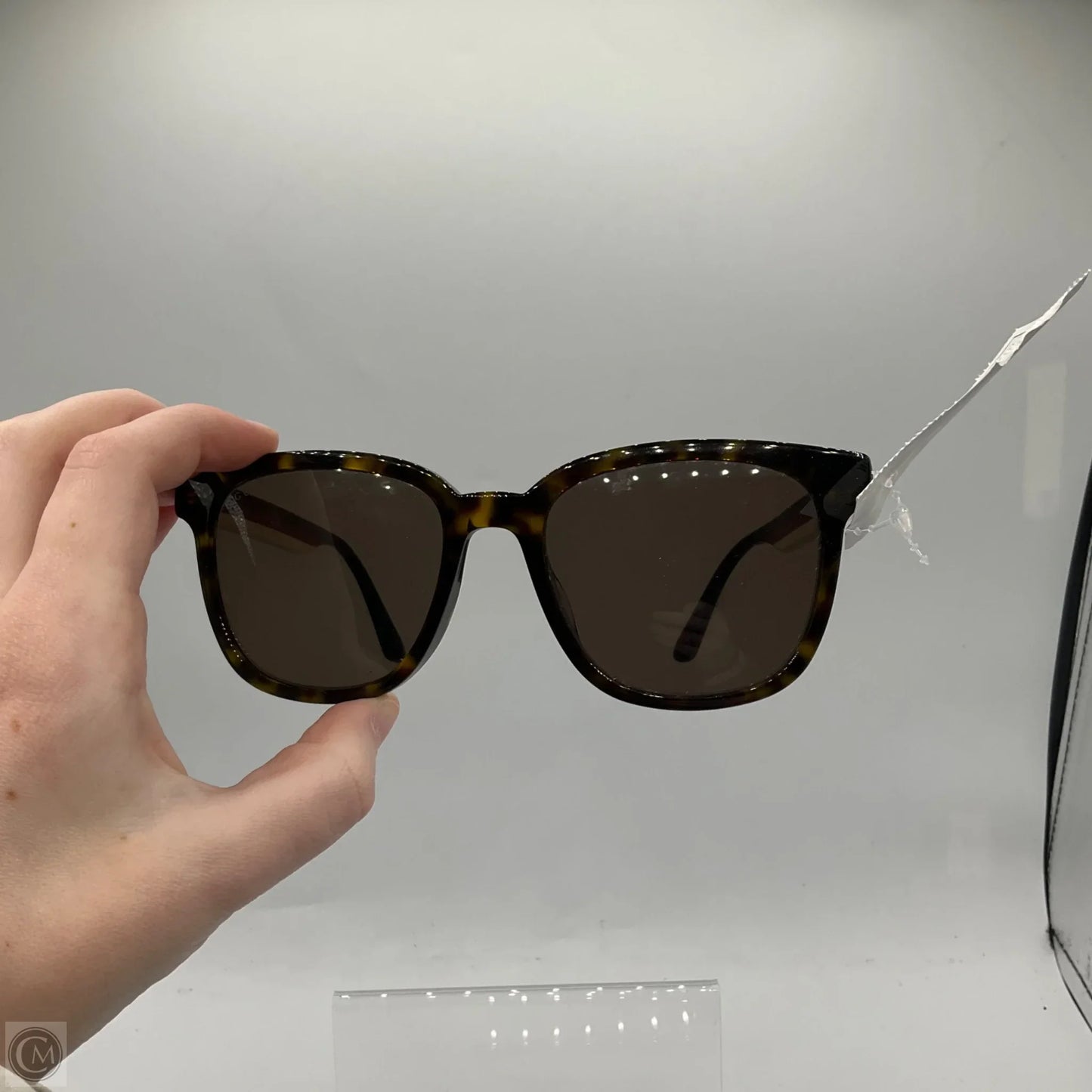 Sunglasses Luxury Designer By Gucci