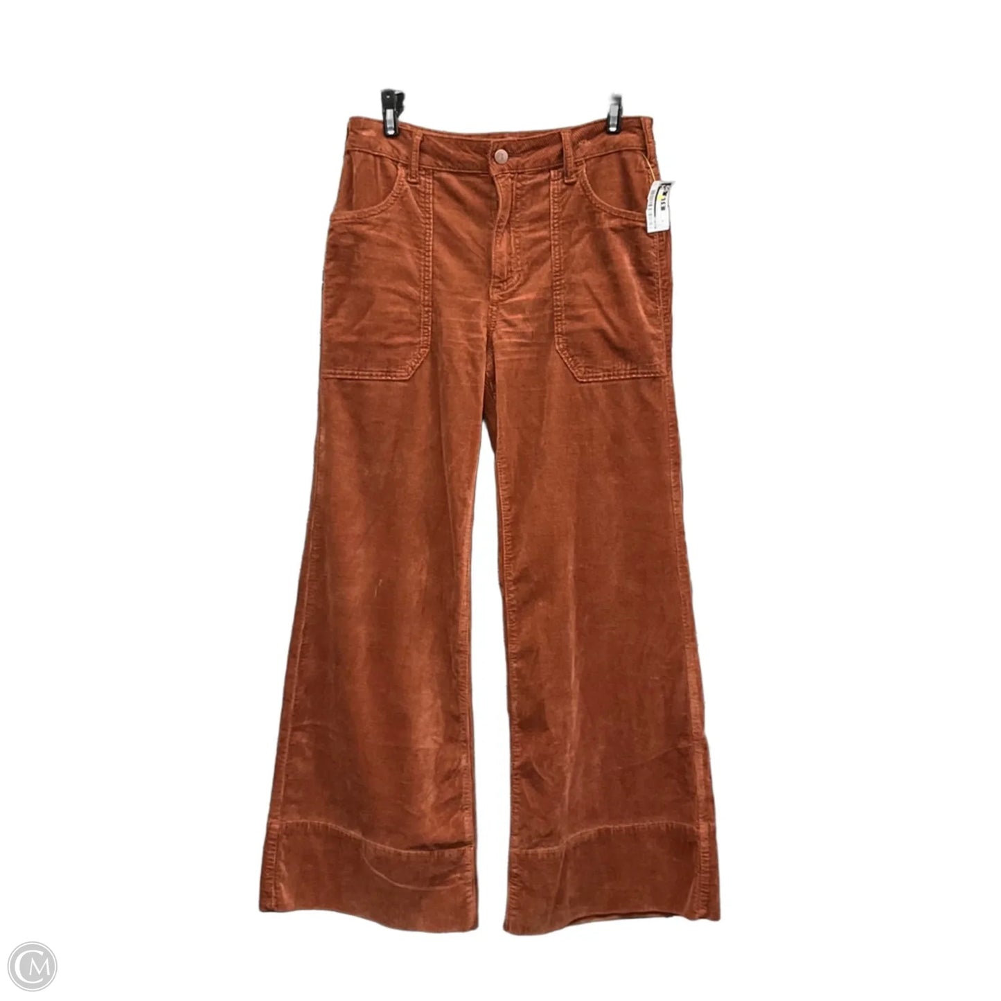 Pants Corduroy By Pilcro In Brown, Size: 6