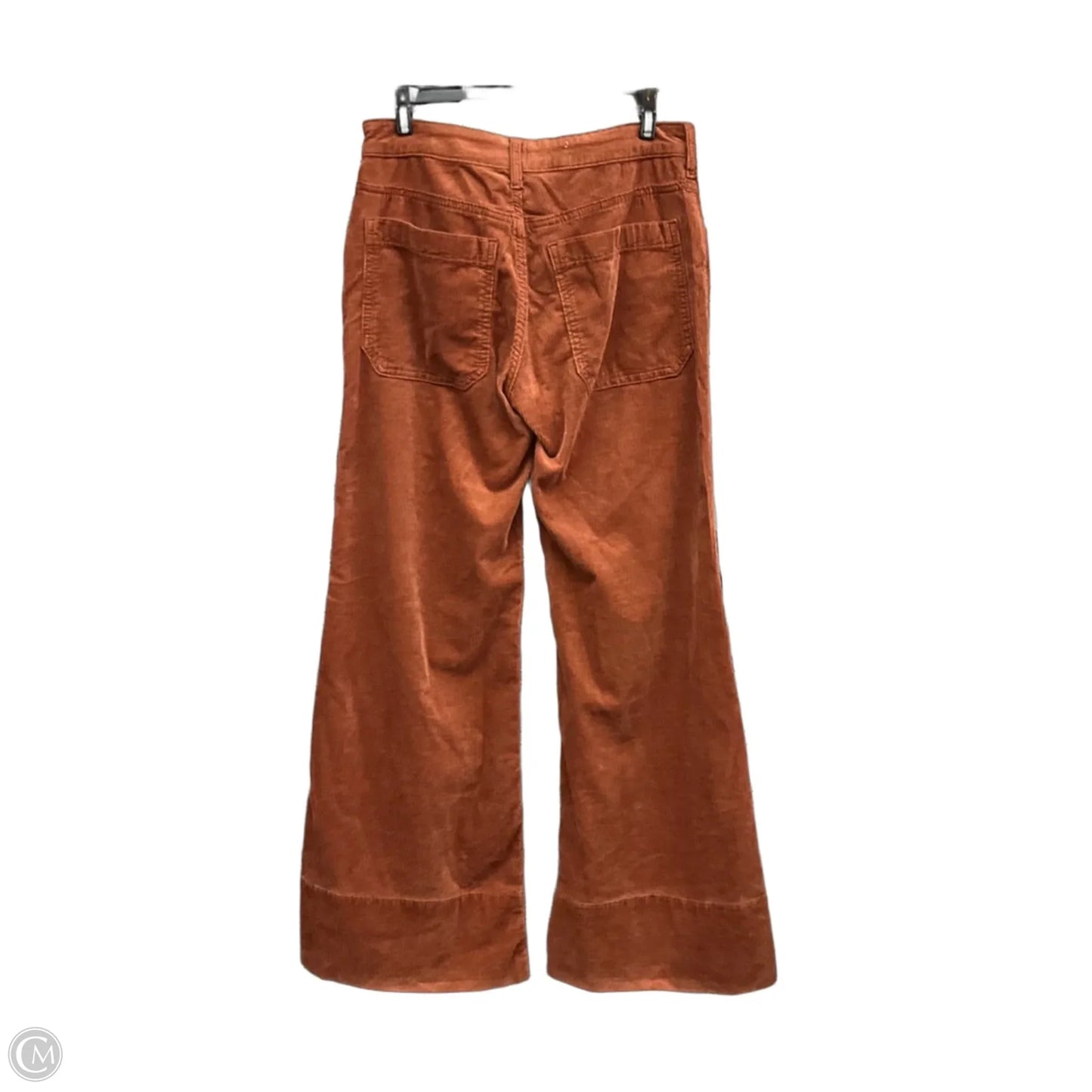 Pants Corduroy By Pilcro In Brown, Size: 6