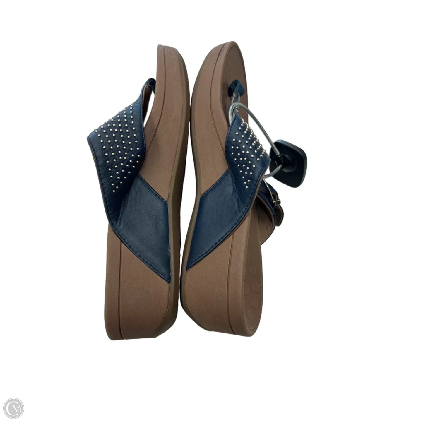 Sandals Flip Flops By Vionic In Navy, Size: 8
