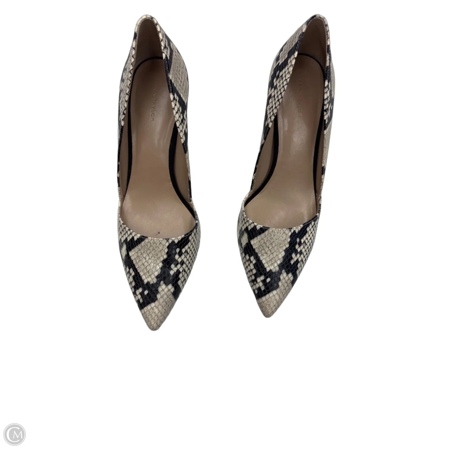 Shoes Heels Stiletto By Ann Taylor In Animal Print, Size: 9.5