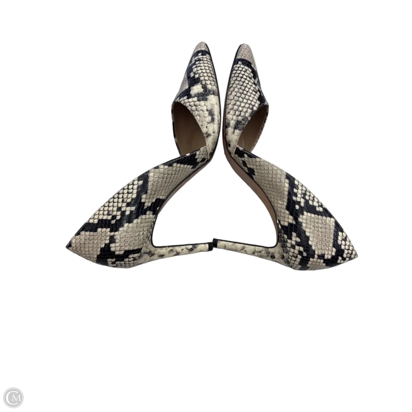 Shoes Heels Stiletto By Ann Taylor In Animal Print, Size: 9.5