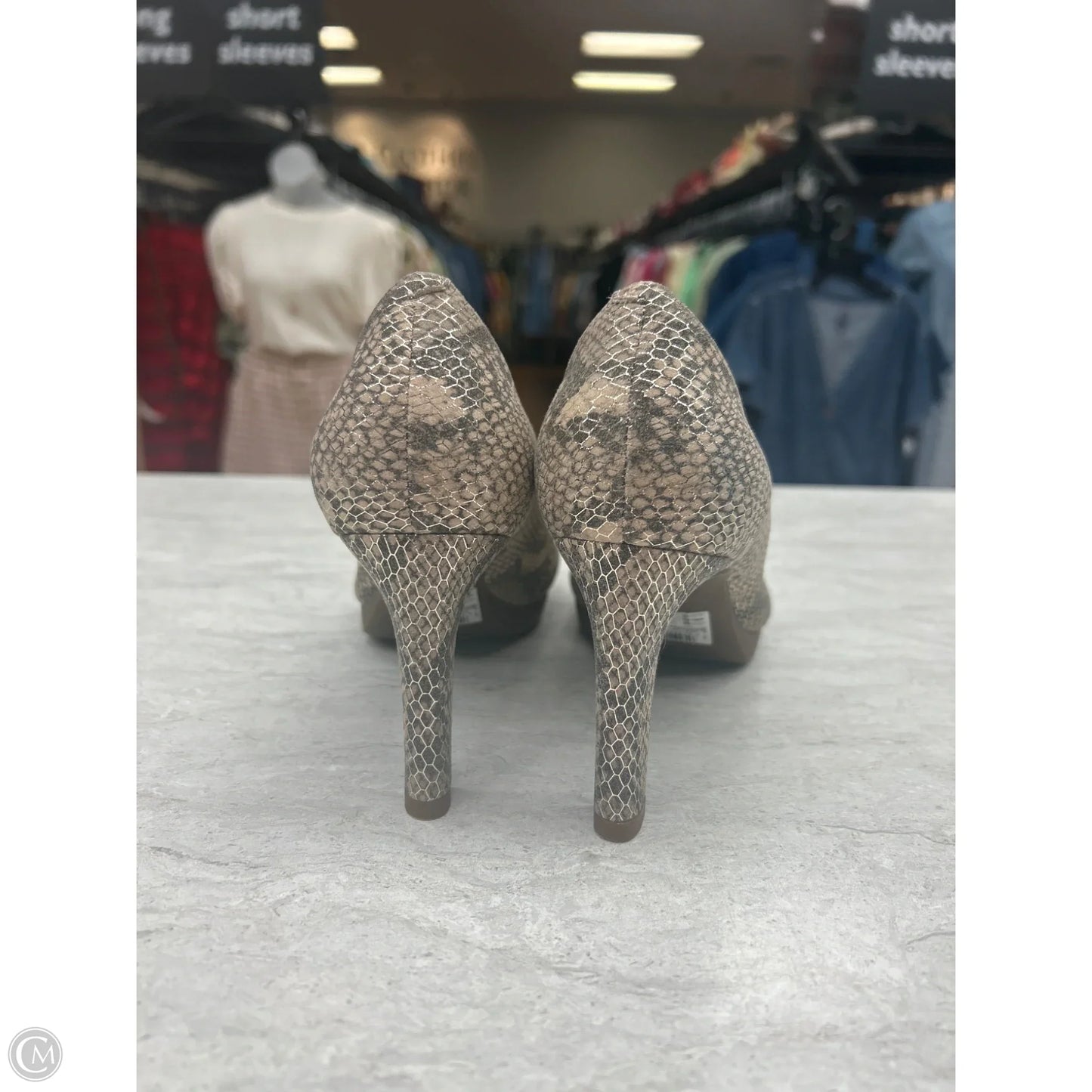 Shoes Heels Stiletto By Clarks In Snakeskin Print, Size: 8