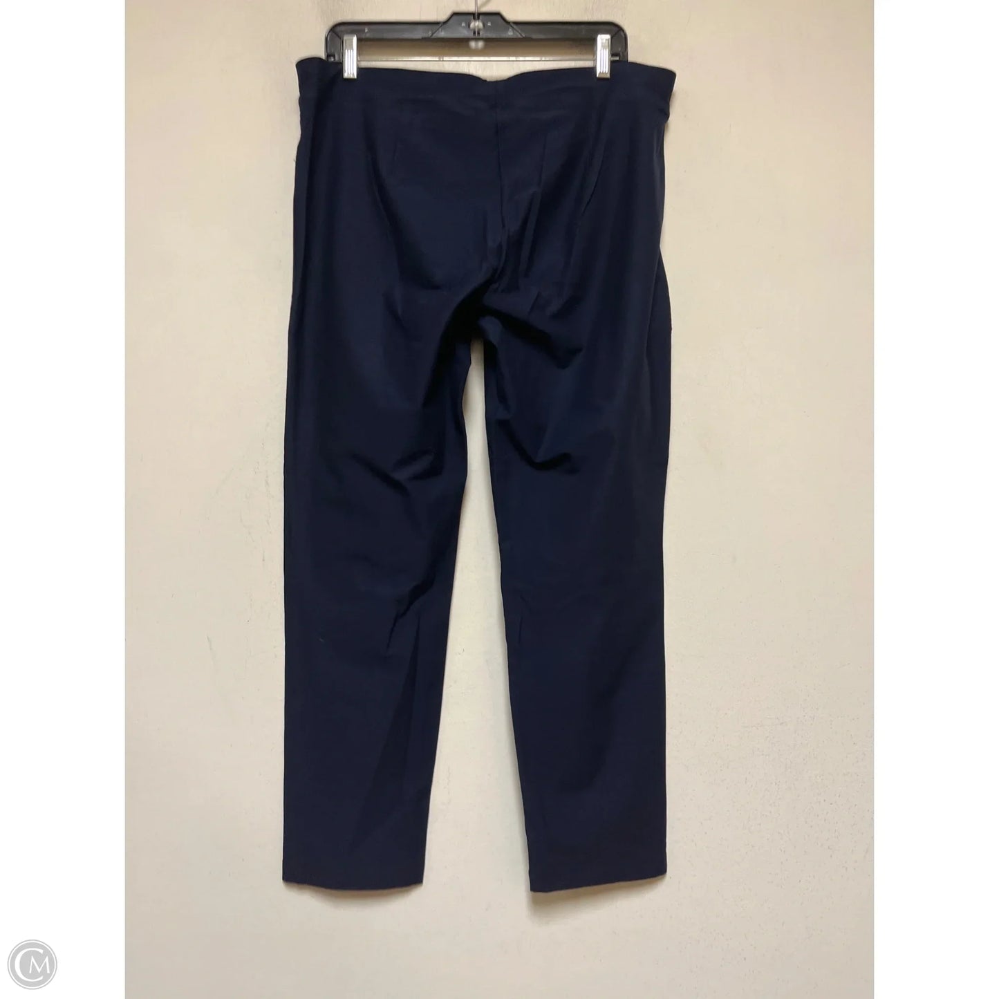 Pants Other By Eileen Fisher In Blue, Size: 12