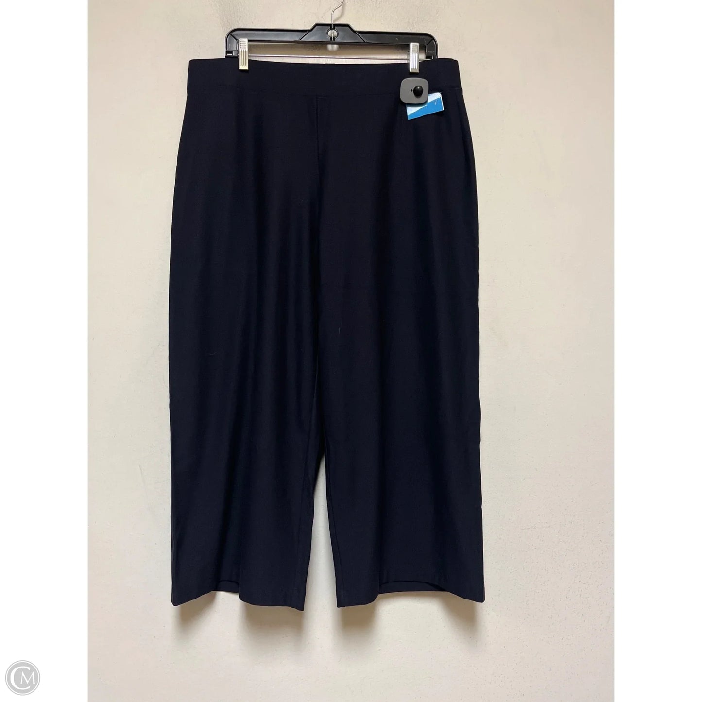 Pants Other By Eileen Fisher In Navy, Size: 12