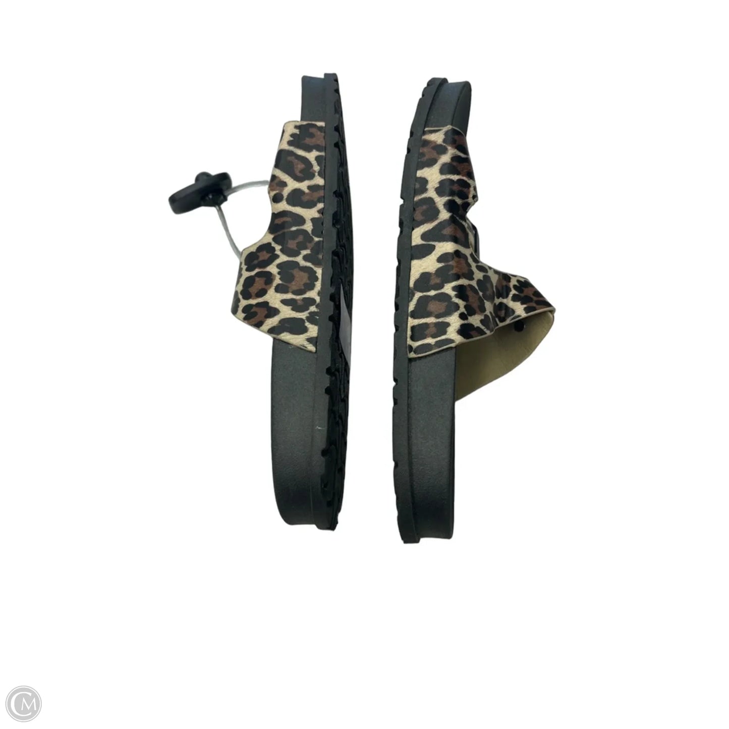 Sandals Flats By Capelli In Animal Print, Size: 8