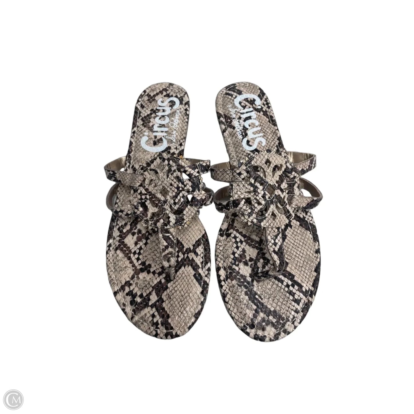 Sandals Flats By Circus By Sam Edelman In Snakeskin Print, Size: 9.5