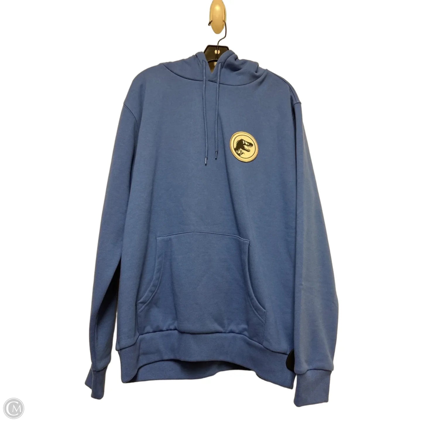 Sweatshirt Hoodie By Clothes Mentor In Blue, Size: L