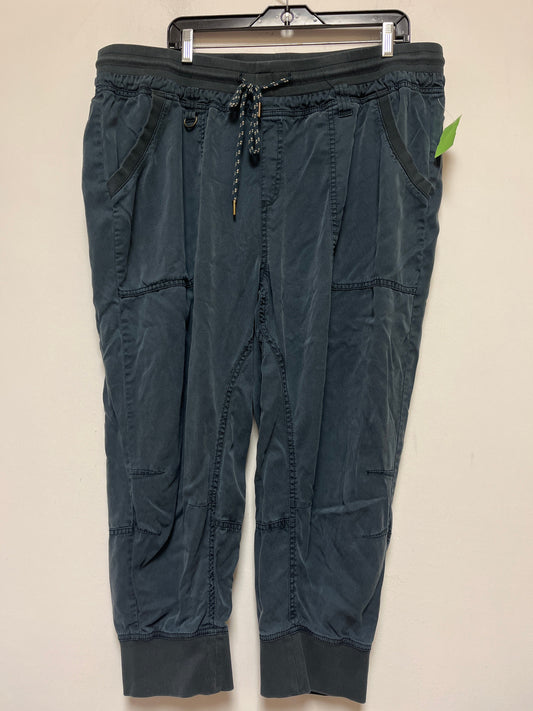 Pants Joggers By Pilcro  Size: 22