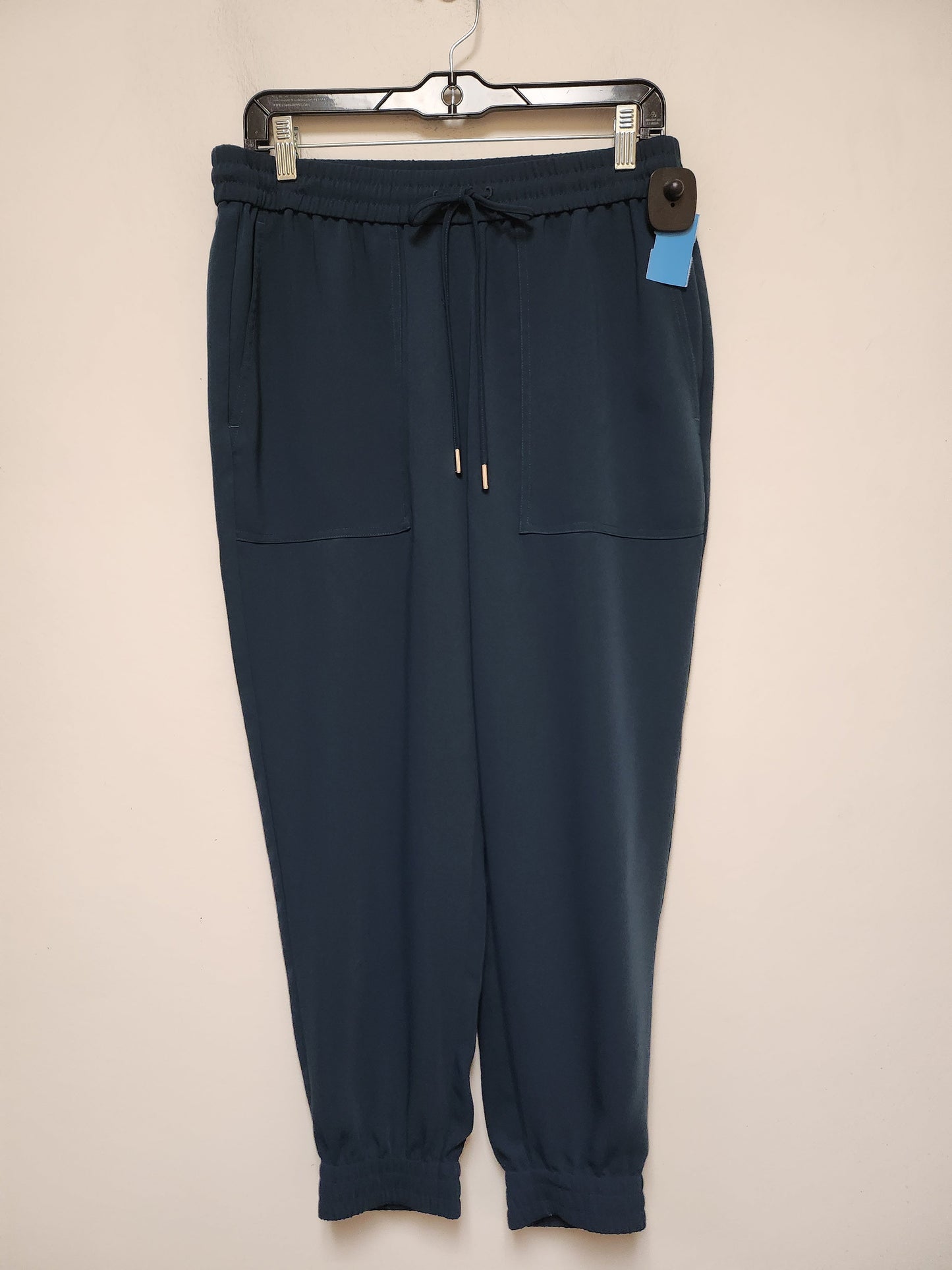 Pants Joggers By Ann Taylor In Teal, Size: 8