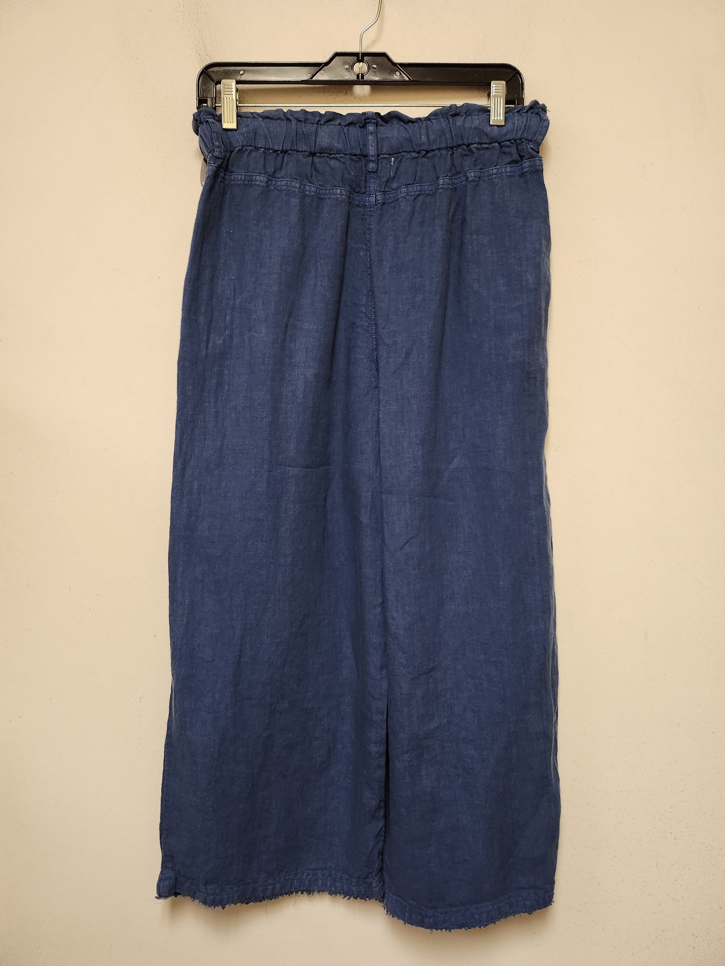 Pants Wide Leg By Cloth & Stone In Blue, Size: S