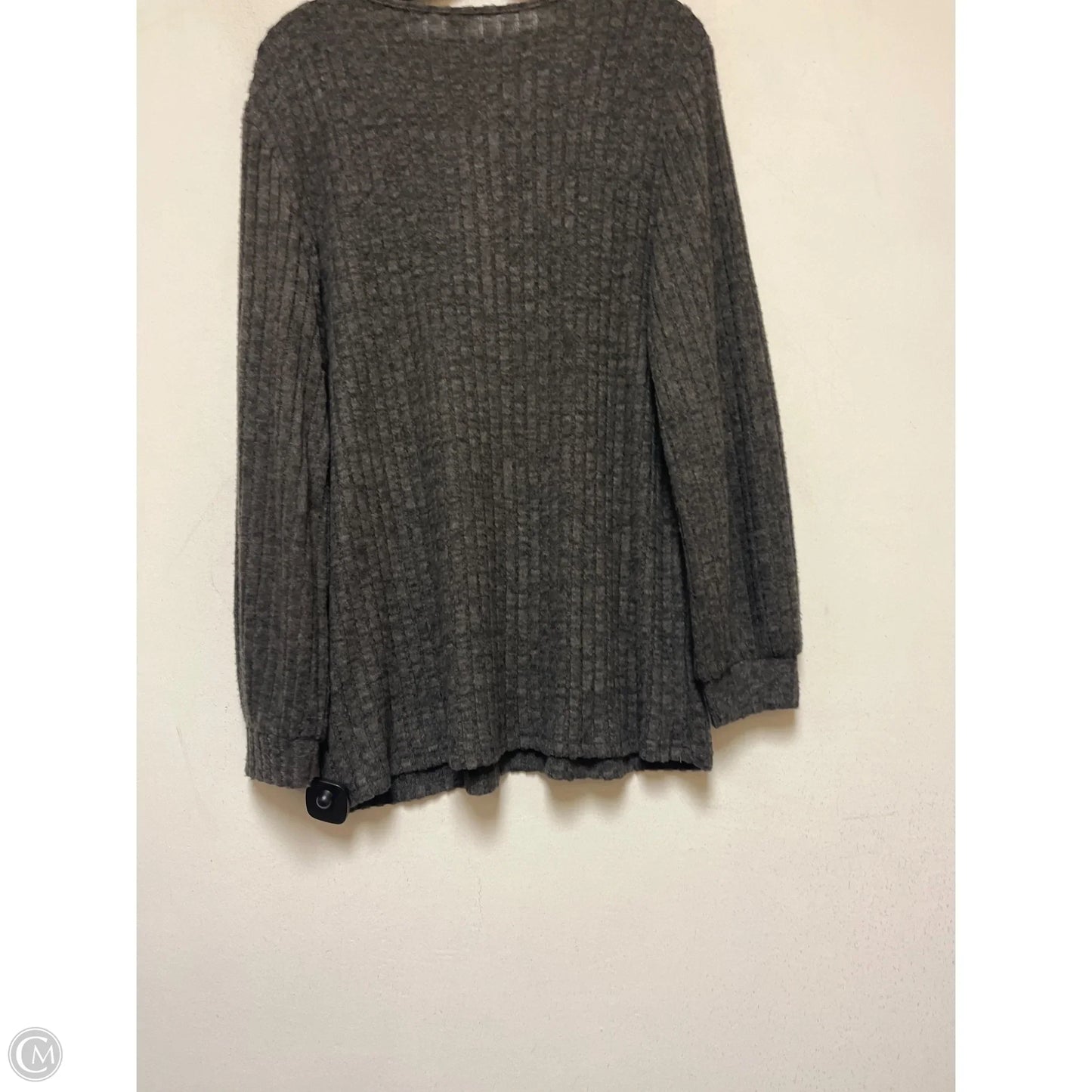 Top Long Sleeve By Clothes Mentor In Grey, Size: L