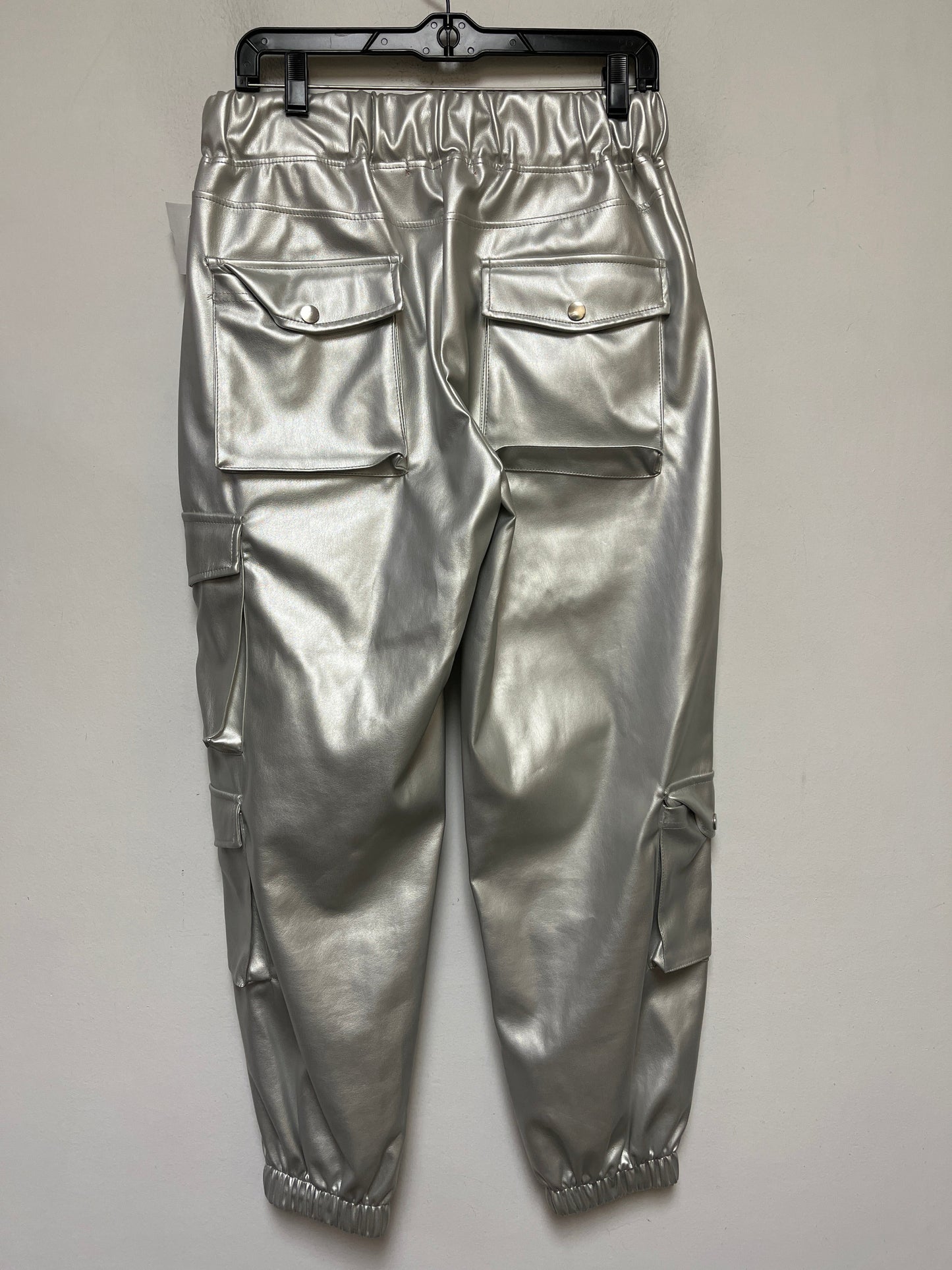 Silver Pants Joggers Clothes Mentor, Size 12