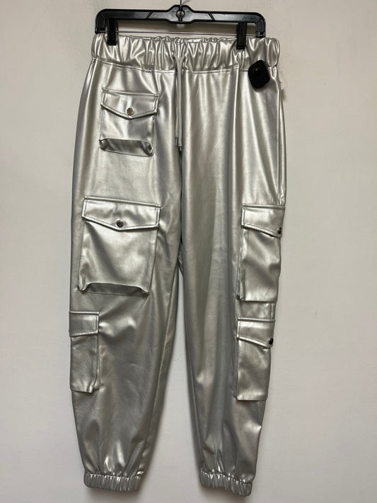 Silver Pants Joggers Clothes Mentor, Size 12