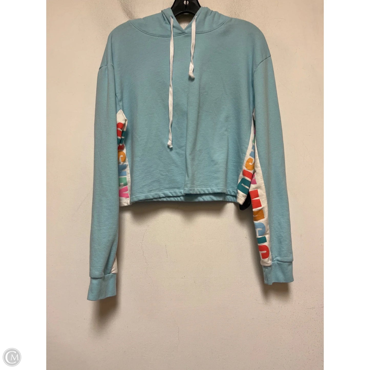 Top Long Sleeve By Disney In Blue & Brown, Size: M