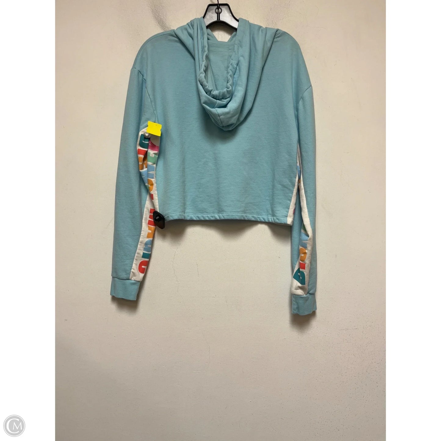 Top Long Sleeve By Disney In Blue & Brown, Size: M