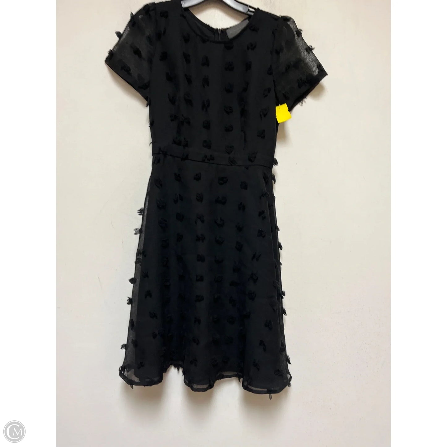 Dress Casual Short By Sunday In Brooklyn In Black, Size: Xs