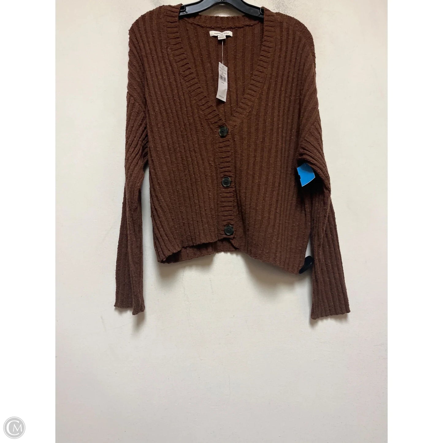 Sweater Cardigan By American Eagle In Brown, Size: M