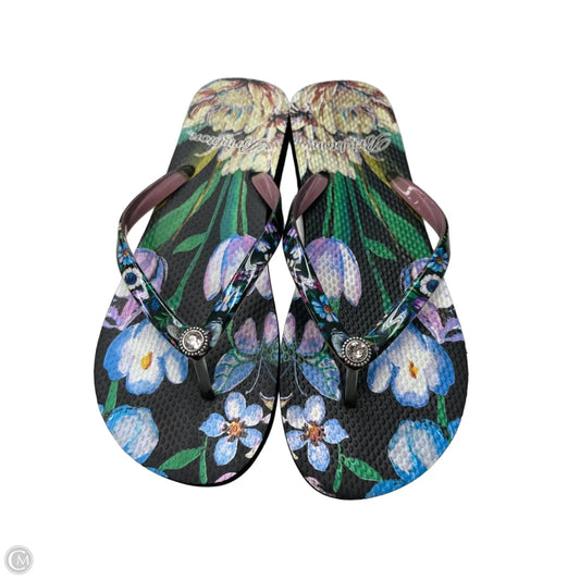 Sandals Flip Flops By Brighton In Floral Print, Size: 7