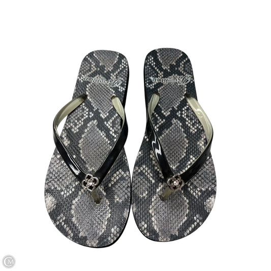 Sandals Flip Flops By Brighton In Snakeskin Print, Size: 7