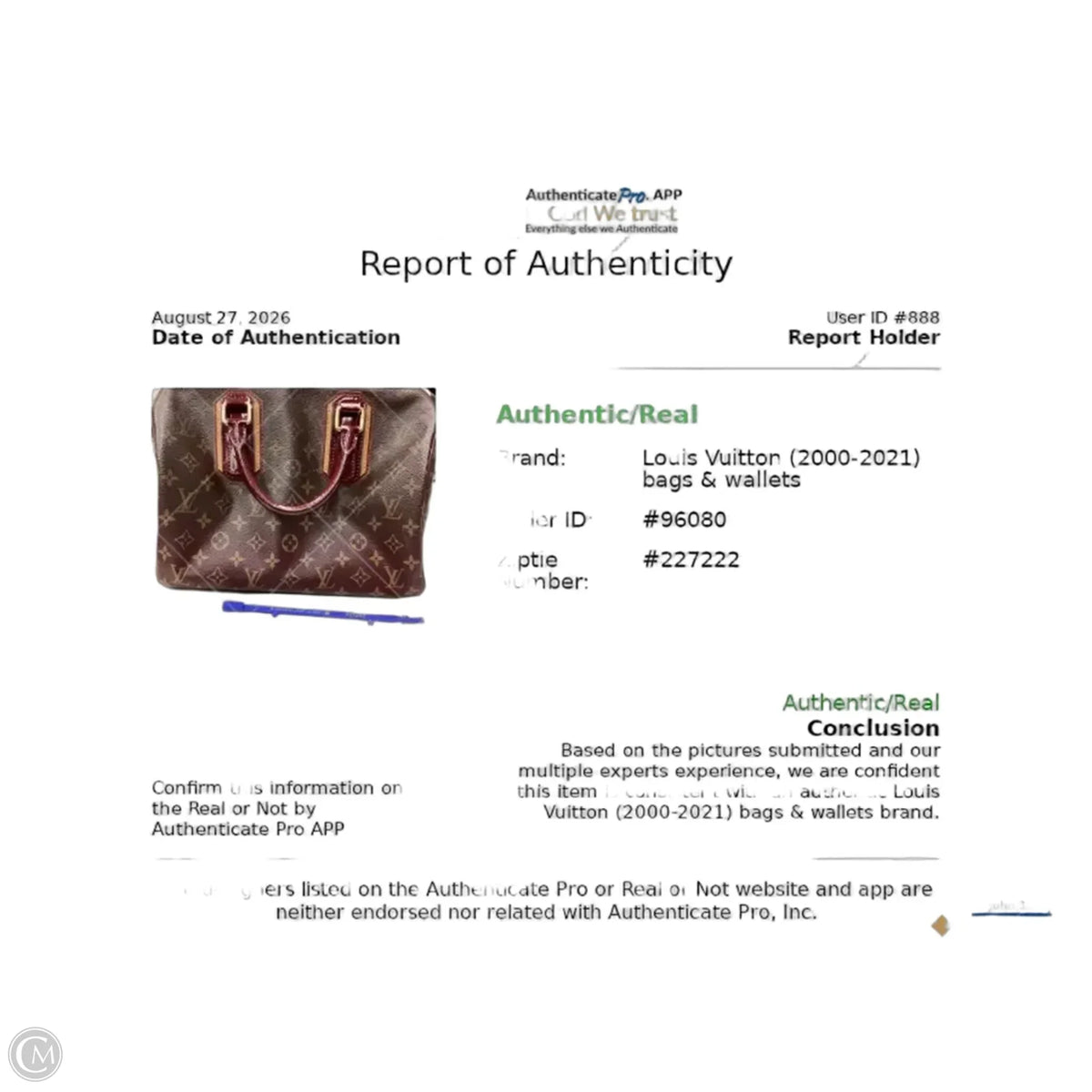 Handbag Luxury Designer By Louis Vuitton, Size: Medium