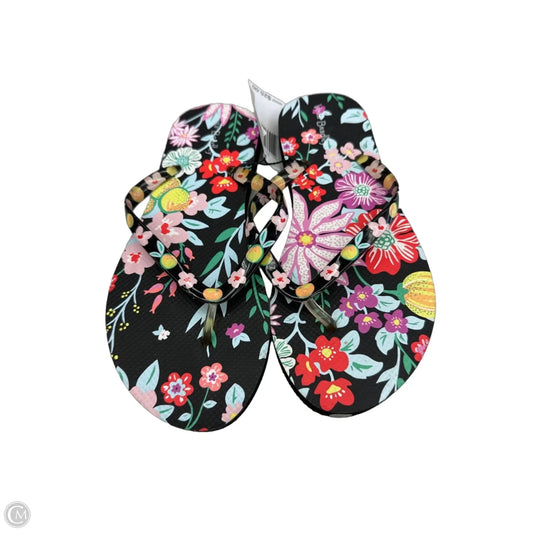 Sandals Flip Flops By Vera Bradley In Floral Print, Size: 6